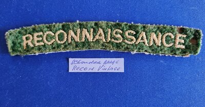 Badge France Reconnaissance Vintage