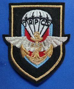 Badge Mariniers SAS Para