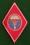 Duits Para Patch rood 707