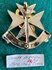 South .Afrika medical Corps pin_8